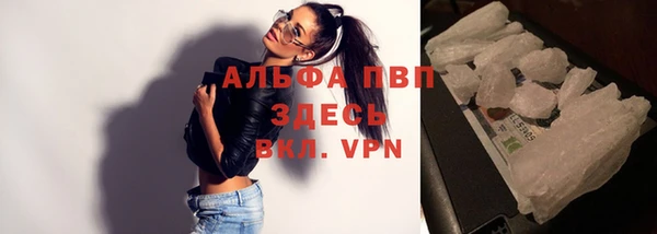 стафф Баксан