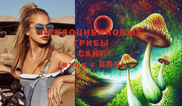 стафф Баксан