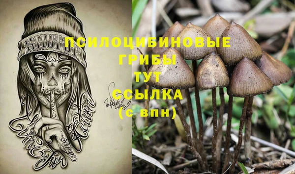 стафф Баксан