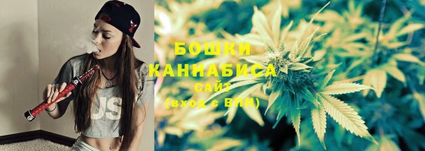 стафф Баксан